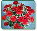 Red Roses (two dozen)