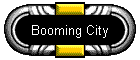 Booming City